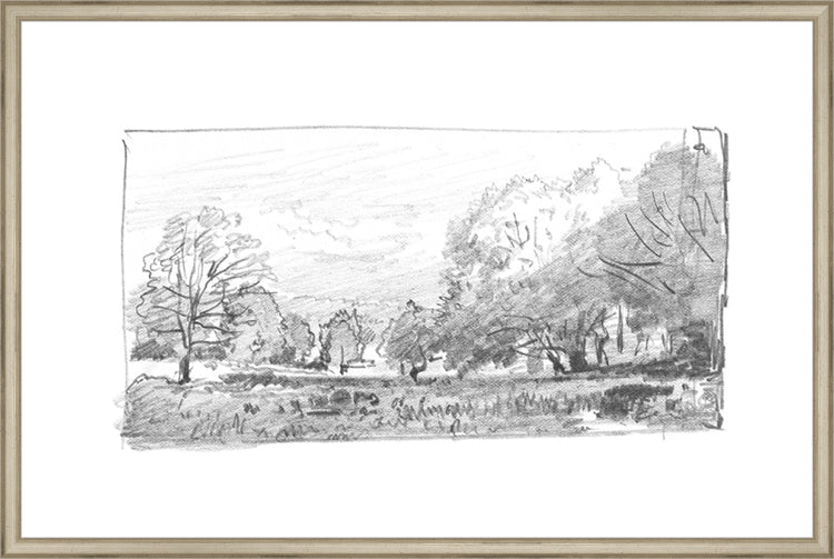 Framed Charcoal Trees 1. Frame: Traditional Silver. Paper: Rag Paper. Art Size: 19x29. Final Size: 20'' X 30''