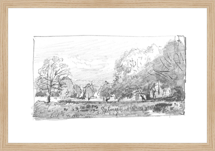 Framed Charcoal Trees 1. Frame: Natural Oak. Paper: Rag Paper. Art Size: 13x19. Final Size: 14'' X 20''