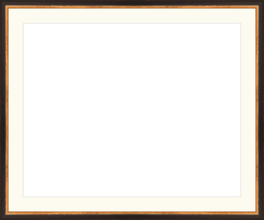 Traditional Black and Gold Frame. Opening Size: 16x20. Final Size: 20'' X 24''