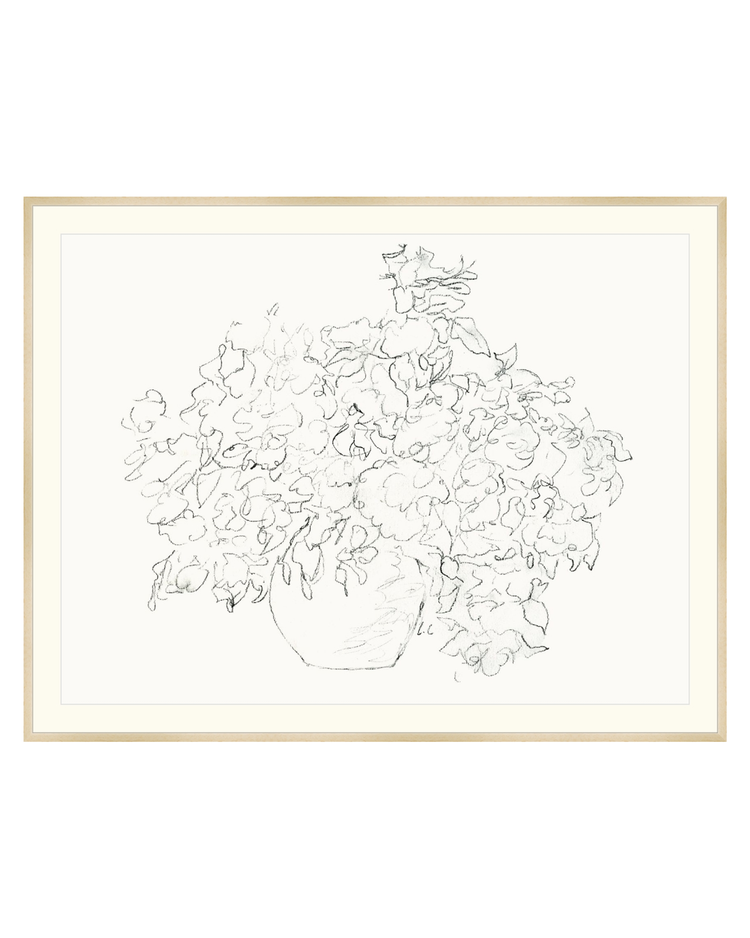Vase of Flowers Sketch