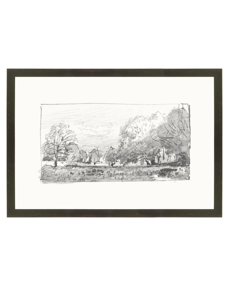 Charcoal Trees 1