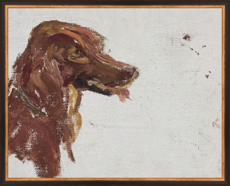 Dog Study HoJ