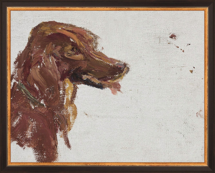 Dog Study HoJ