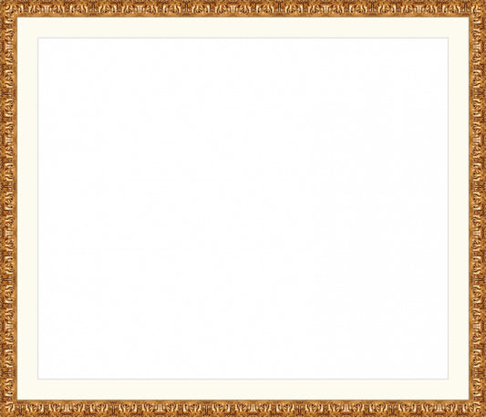 Valencia Gold Frame. Opening Size: 20x24. Final Size: 24'' X 28''
