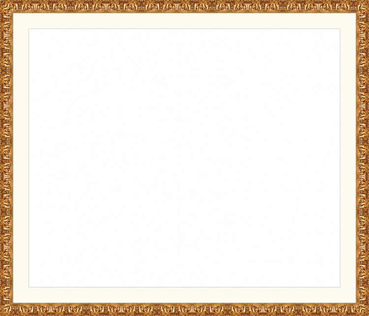 Valencia Gold Frame. Opening Size: 20x24. Final Size: 24'' X 28''