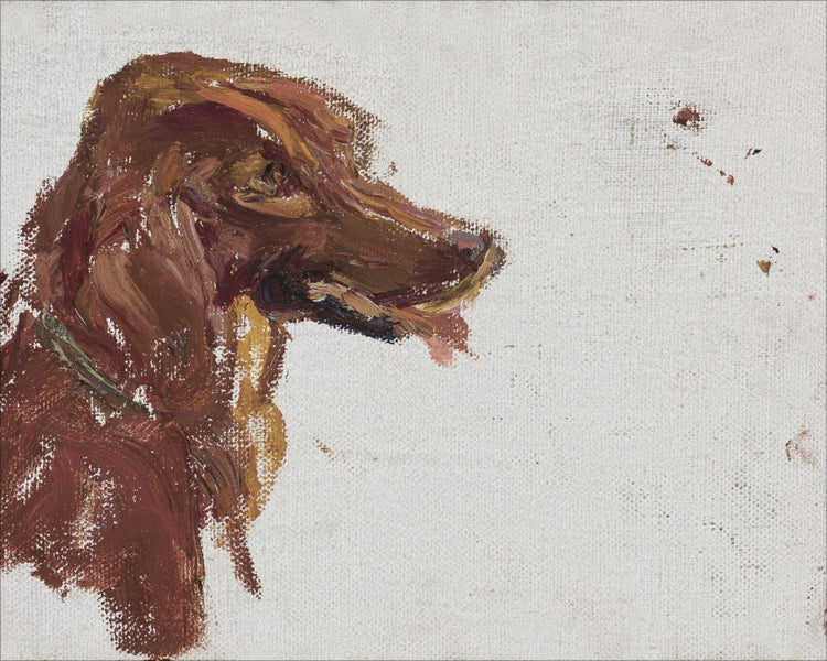 Dog Study HoJ