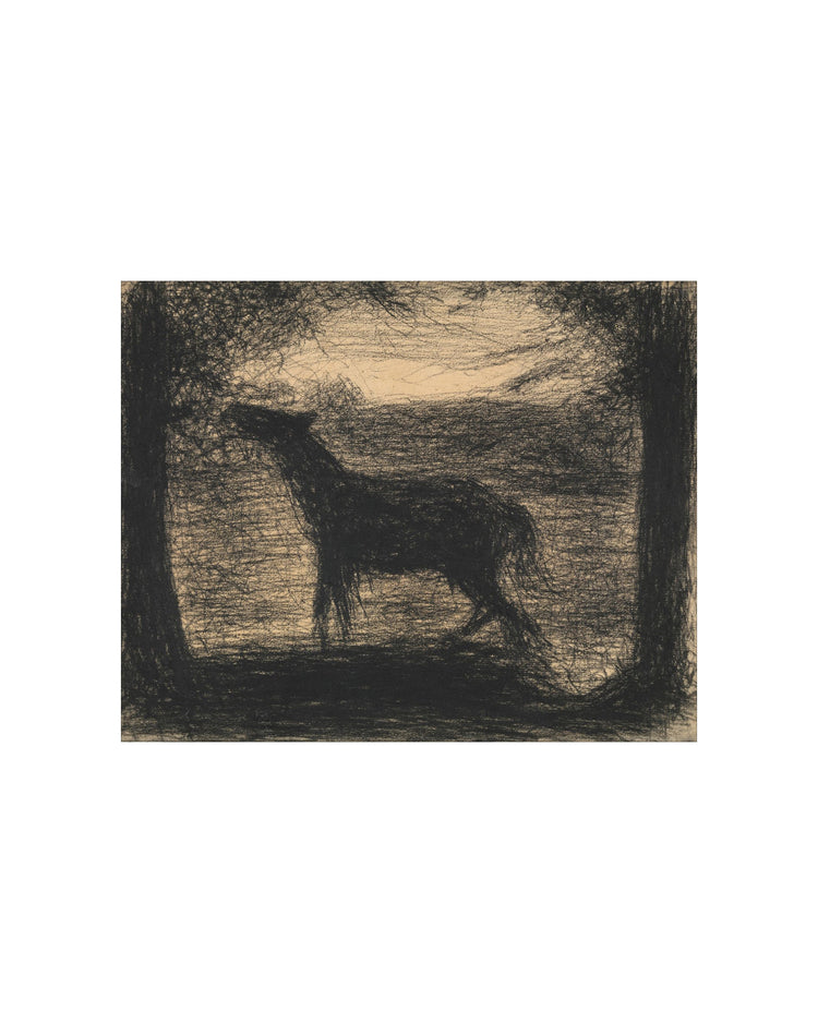 Foal Drawing