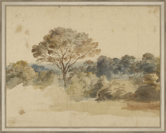 Framed Baroque Landscape. Frame: Traditional Silver. Paper: Rag Paper. Art Size: 15x19. Final Size: 16'' X 20''