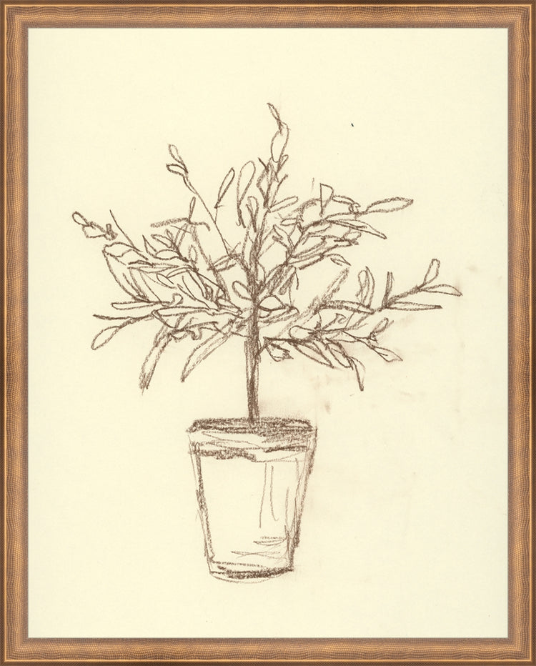 Framed Olive Tree Sketch. Frame: Timeless Bronze. Paper: Rag Paper. Art Size: 19x15. Final Size: 20'' X 16''