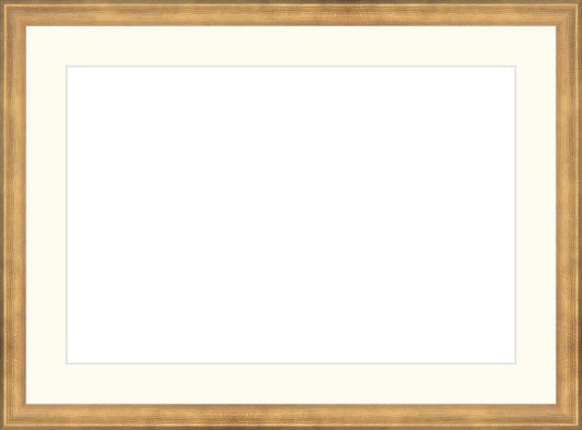 Timeless Gold Frame. Opening Size: 10x15. Final Size: 14'' X 19''