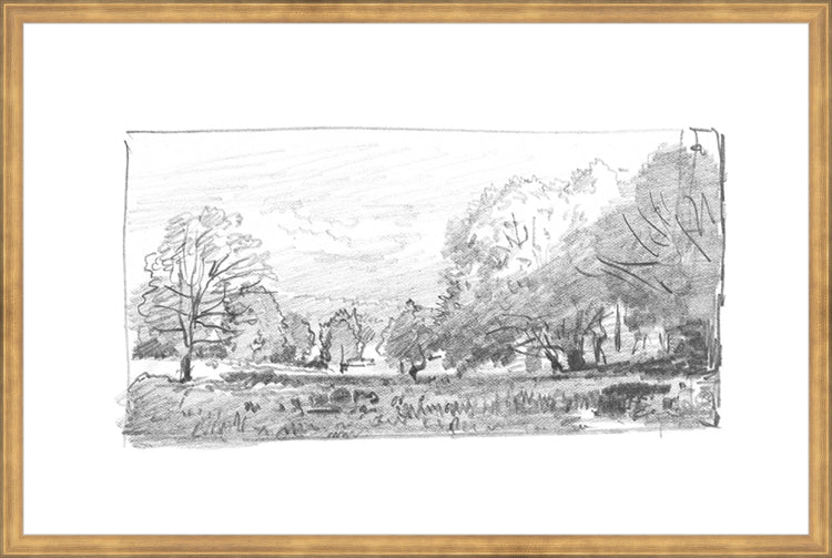 Framed Charcoal Trees 1. Frame: Timeless Gold. Paper: Rag Paper. Art Size: 19x29. Final Size: 20'' X 30''