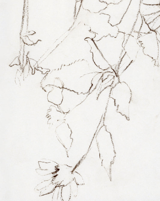 Botanical Study III