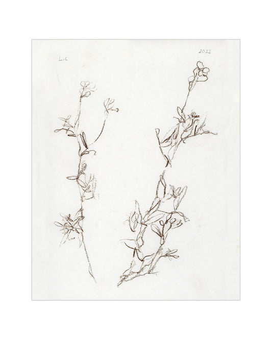 Botanical Study I