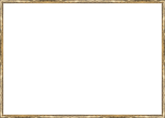 Gold Textured Frame. Opening Size: 19x27. Final Size: 19'' X 27''