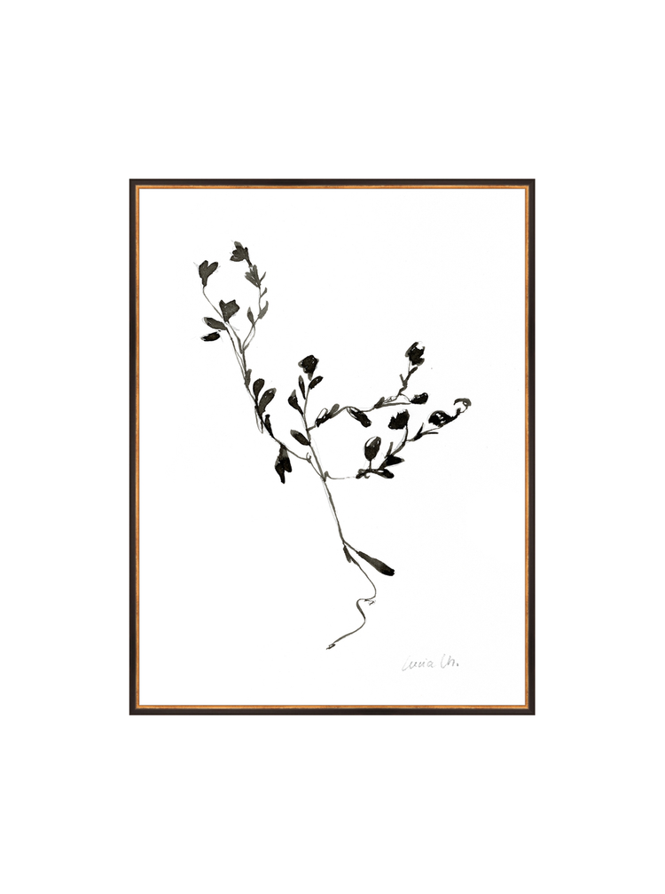 Sketched Botanical HoJ 2