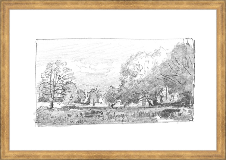Framed Charcoal Trees 1. Frame: Timeless Gold. Paper: Rag Paper. Art Size: 13x19. Final Size: 14'' X 20''