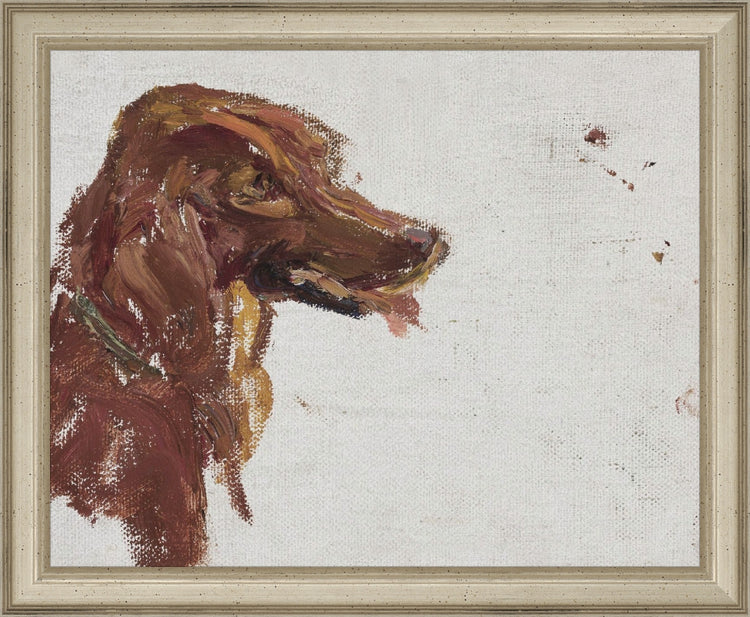 Dog Study HoJ