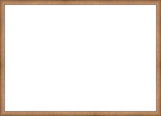 Timeless Bronze Frame. Opening Size: 19x27. Final Size: 20'' X 28''