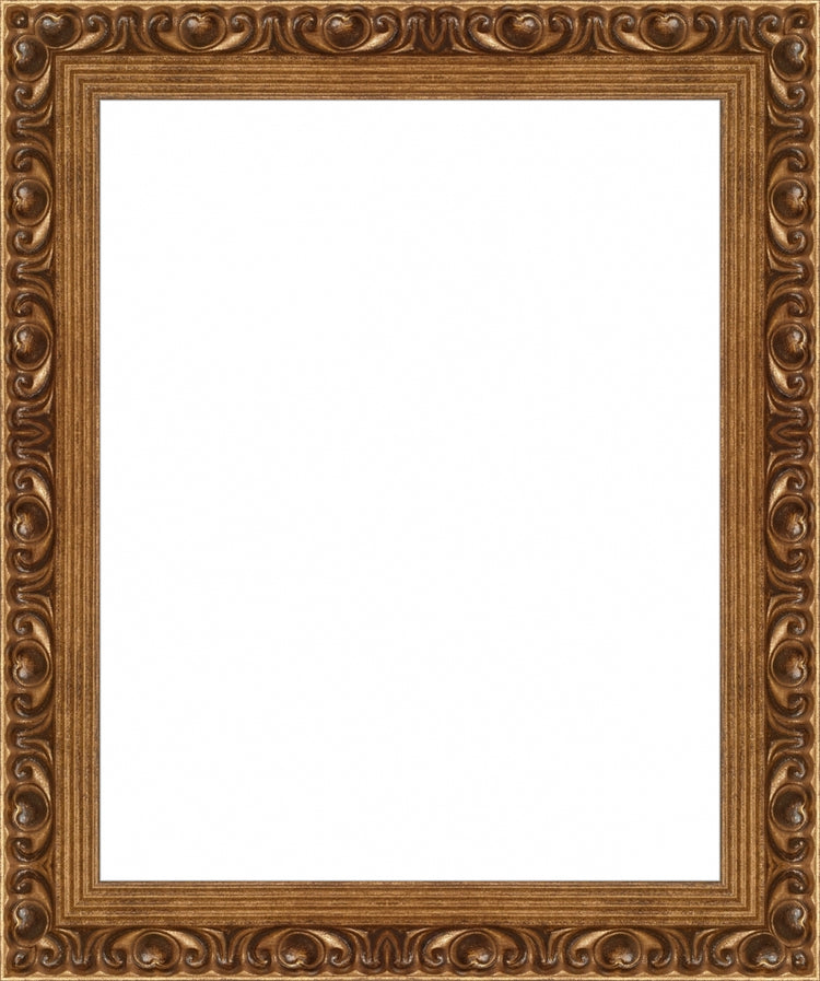 Gold Ornate Frame. Opening Size: 10x8. Final Size: 12'' X 10''