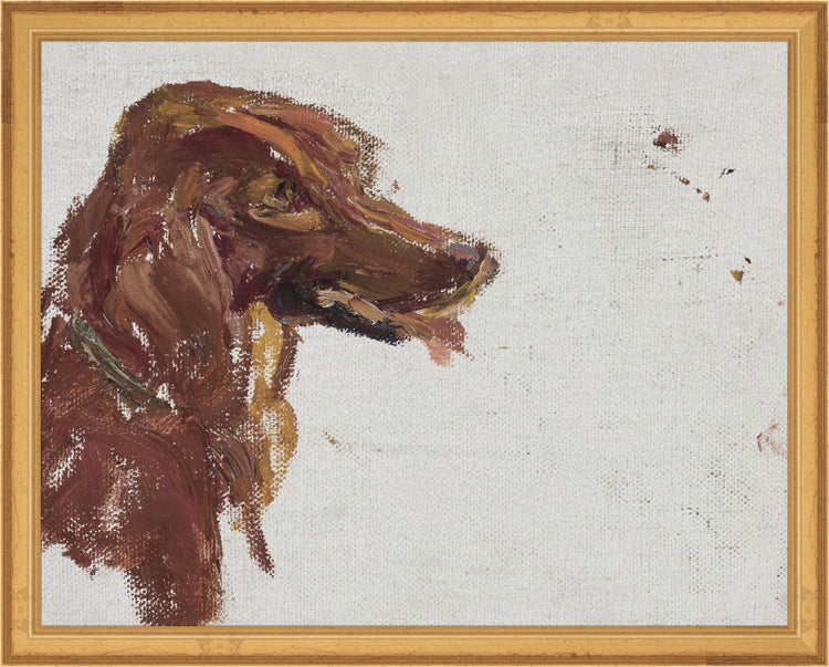 Dog Study HoJ