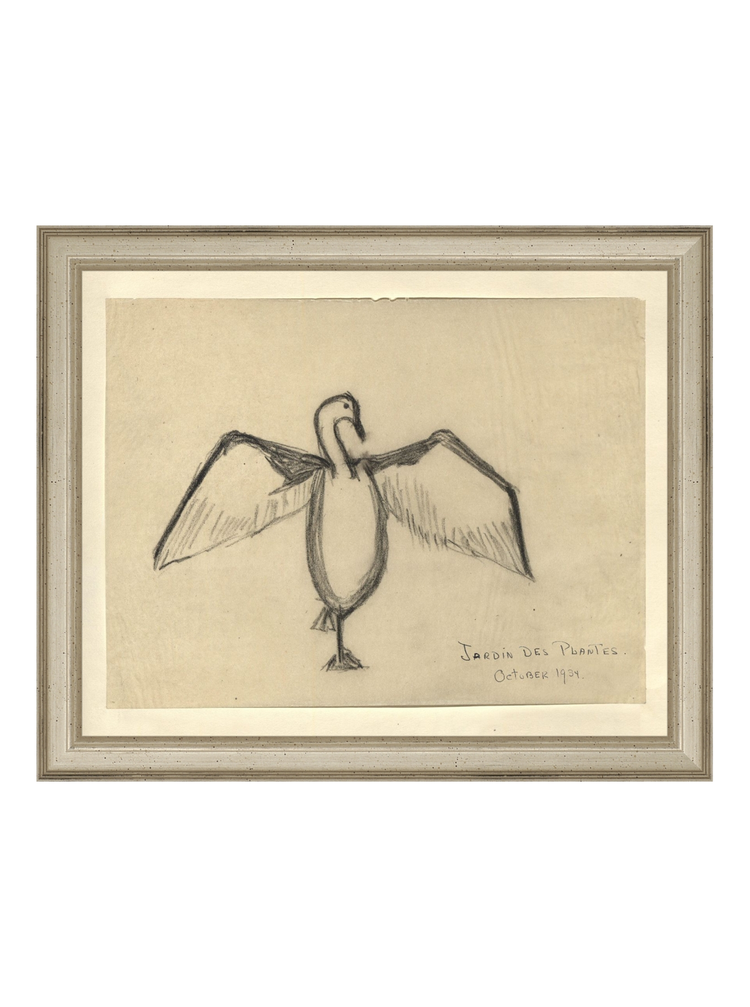 The Great Cormorant HoJ 2