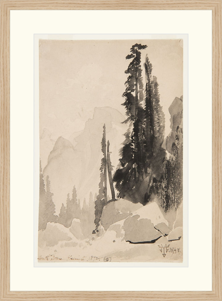 Antique Trees Drawing OAShop 2