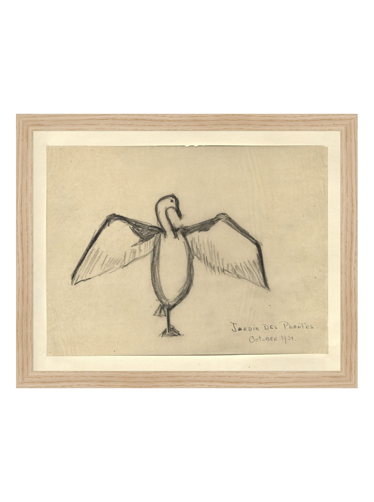 The Great Cormorant HoJ 2