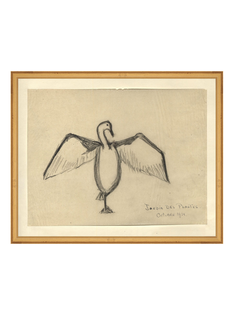 The Great Cormorant HoJ 2