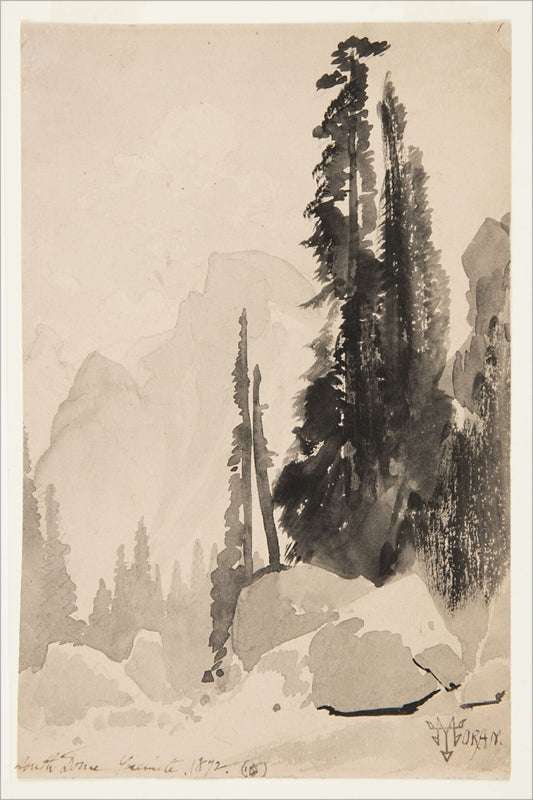 Antique Trees Drawing OAShop 2