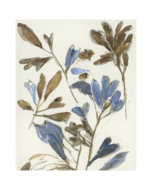 Botanical Color Study