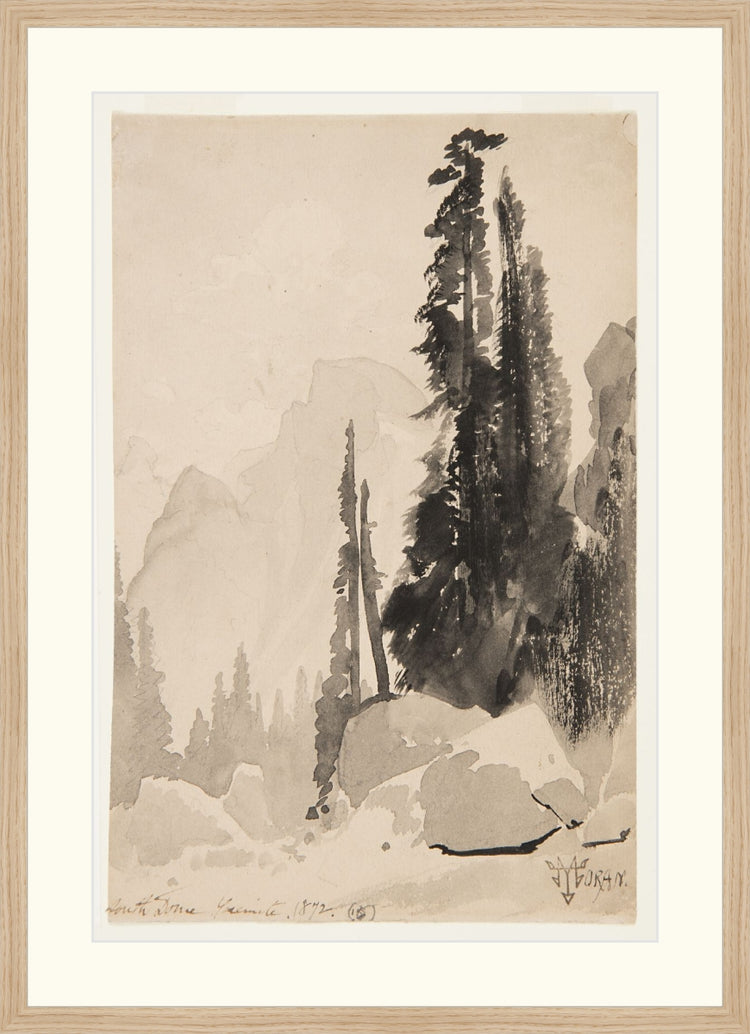 Antique Trees Drawing OAShop 2