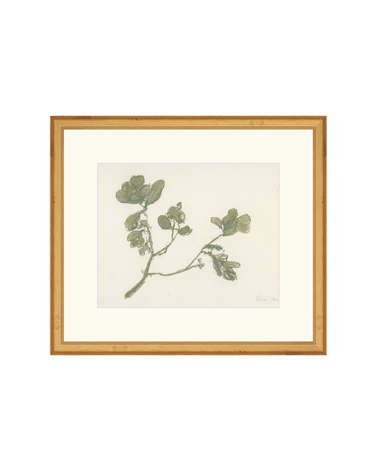 Pastel Mistletoe HoJ