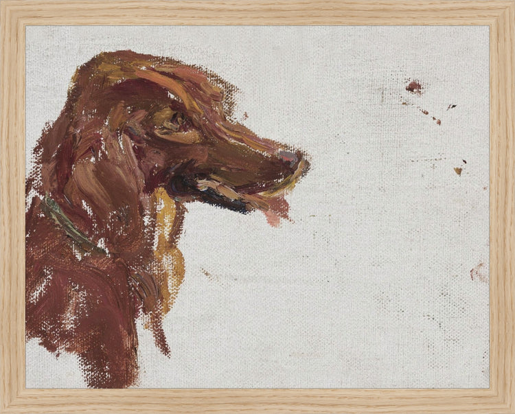 Dog Study HoJ