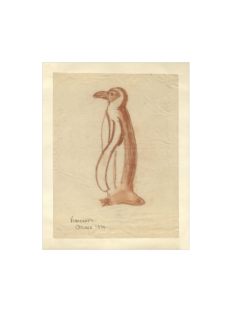 Penguin Sketch HoJ 2