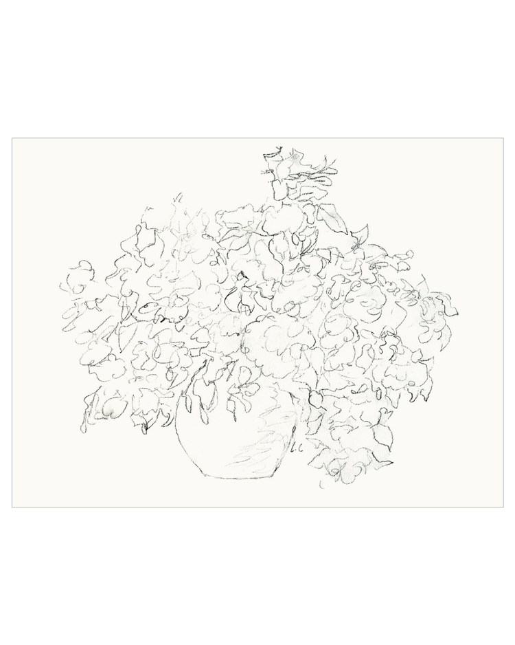 Vase of Flowers Sketch