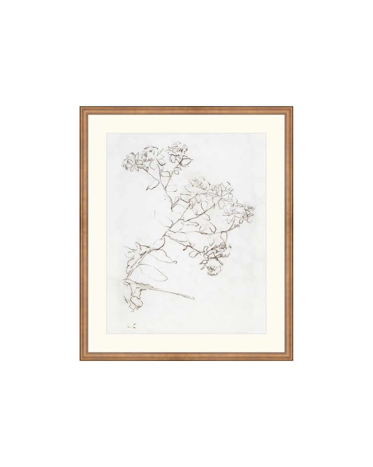 Botanical Study II HoJ