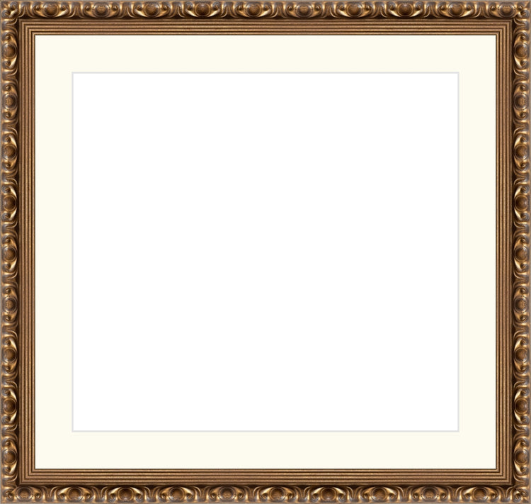 Gold Ornate Frame. Opening Size: 13x14. Final Size: 18'' X 19''