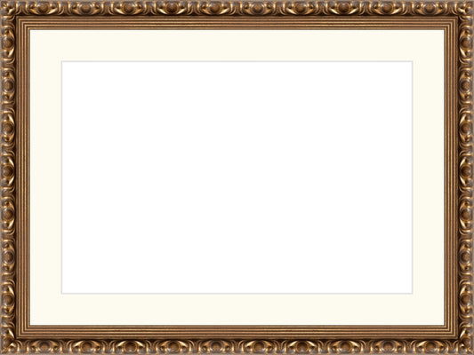 Gold Ornate Frame. Opening Size: 10x15. Final Size: 15'' X 20''