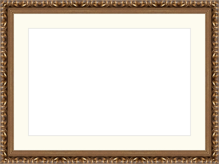Gold Ornate Frame. Opening Size: 10x15. Final Size: 15'' X 20''