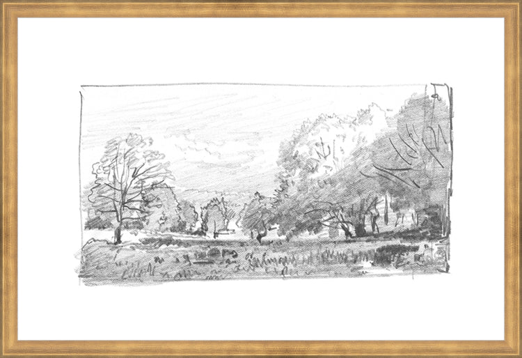 Framed Charcoal Trees 1. Frame: Timeless Gold. Paper: Rag Paper. Art Size: 16x24. Final Size: 17'' X 25''