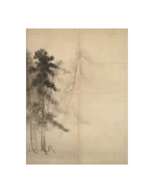 Pine Trees II