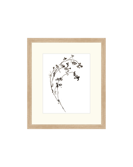 Botanical Ink Study I HoJ