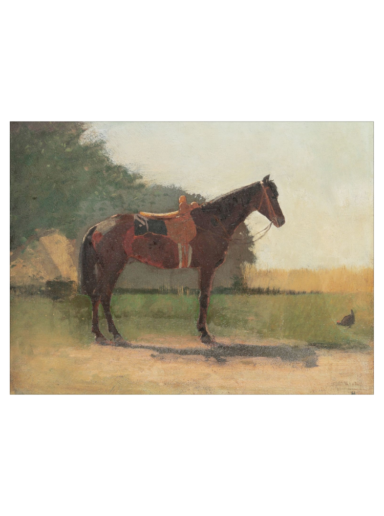 Horse in a Farm HoJ 2