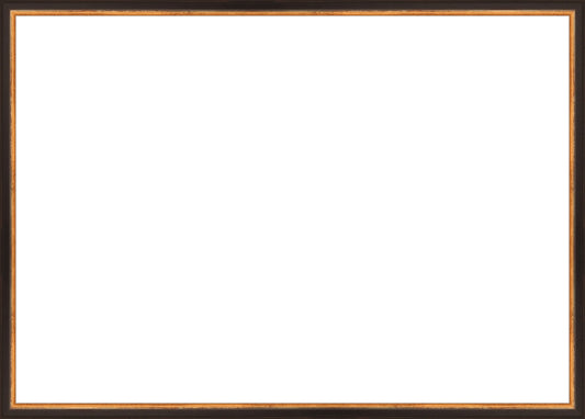 Traditional Black and Gold Frame. Opening Size: 19x27. Final Size: 20'' X 28''