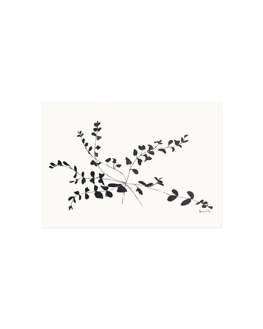 Ink Botanical