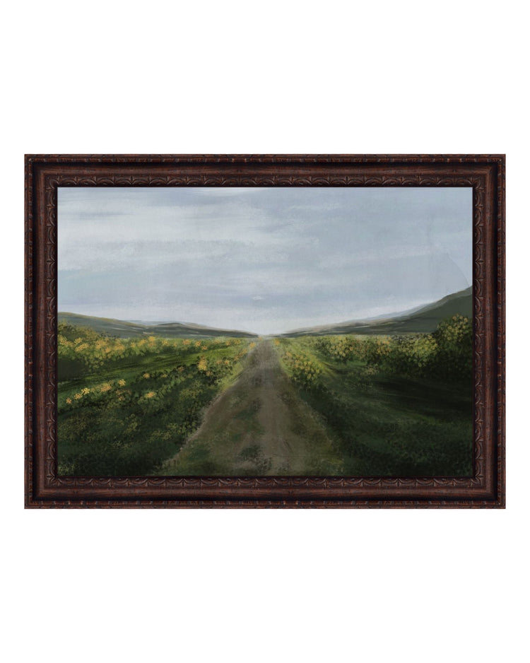 Field Road – Splendus