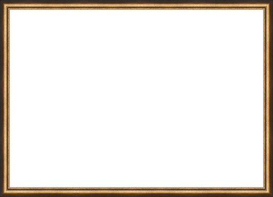 Distressed Gold and Black Frame. Opening Size: 19x27. Final Size: 20'' X 28''