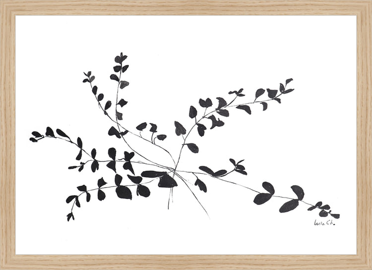 Framed Ink Botanical. Frame: Natural Oak. Paper: Rag Paper. Art Size: 12x17. Final Size: 13'' X 18''