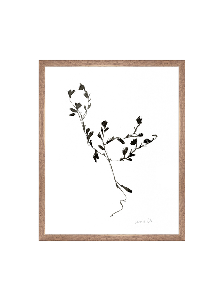 Sketched Botanical HoJ 2