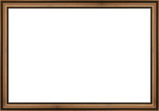 Traditional Bronze Frame. Opening Size: 10x15. Final Size: 11'' X 16''